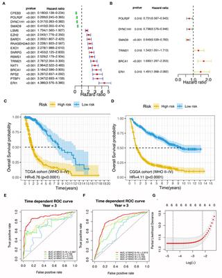 Identification of a 6-RBP gene signature for a comprehensive analysis of glioma and ischemic stroke: Cognitive impairment and aging-related hypoxic stress